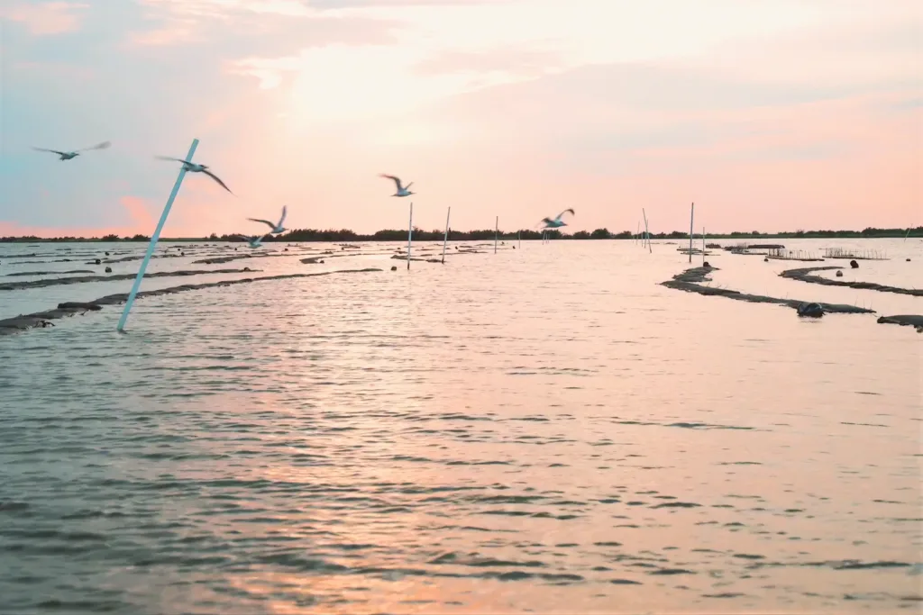 A scenic shot of Off Bottom Oyster Farms in Grand Isle