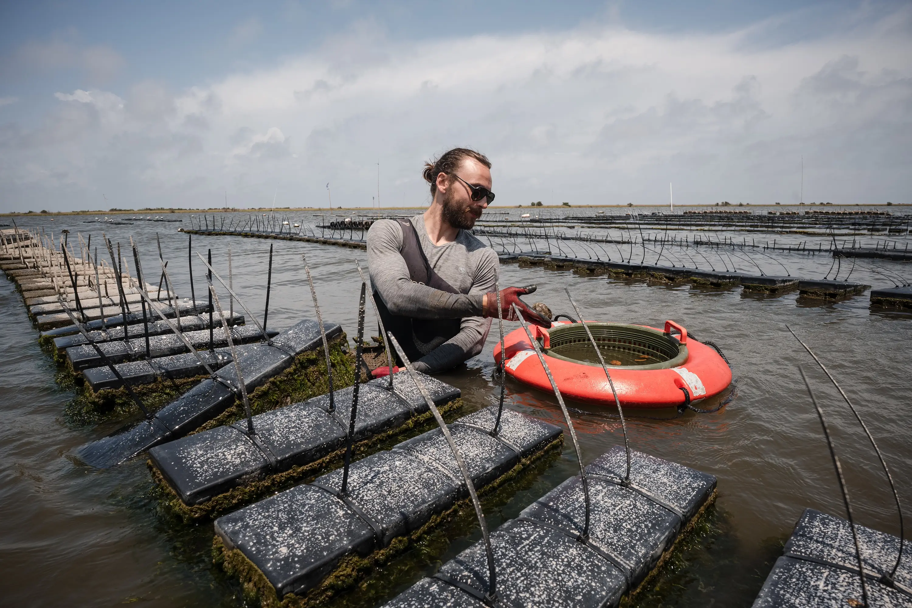 A Grand Isle Jewels farmer in the water