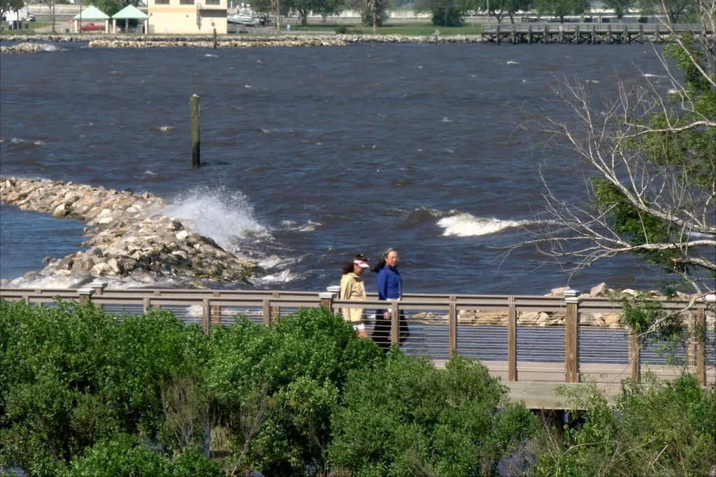 People walking on the Bucktown Harbor nature walk
