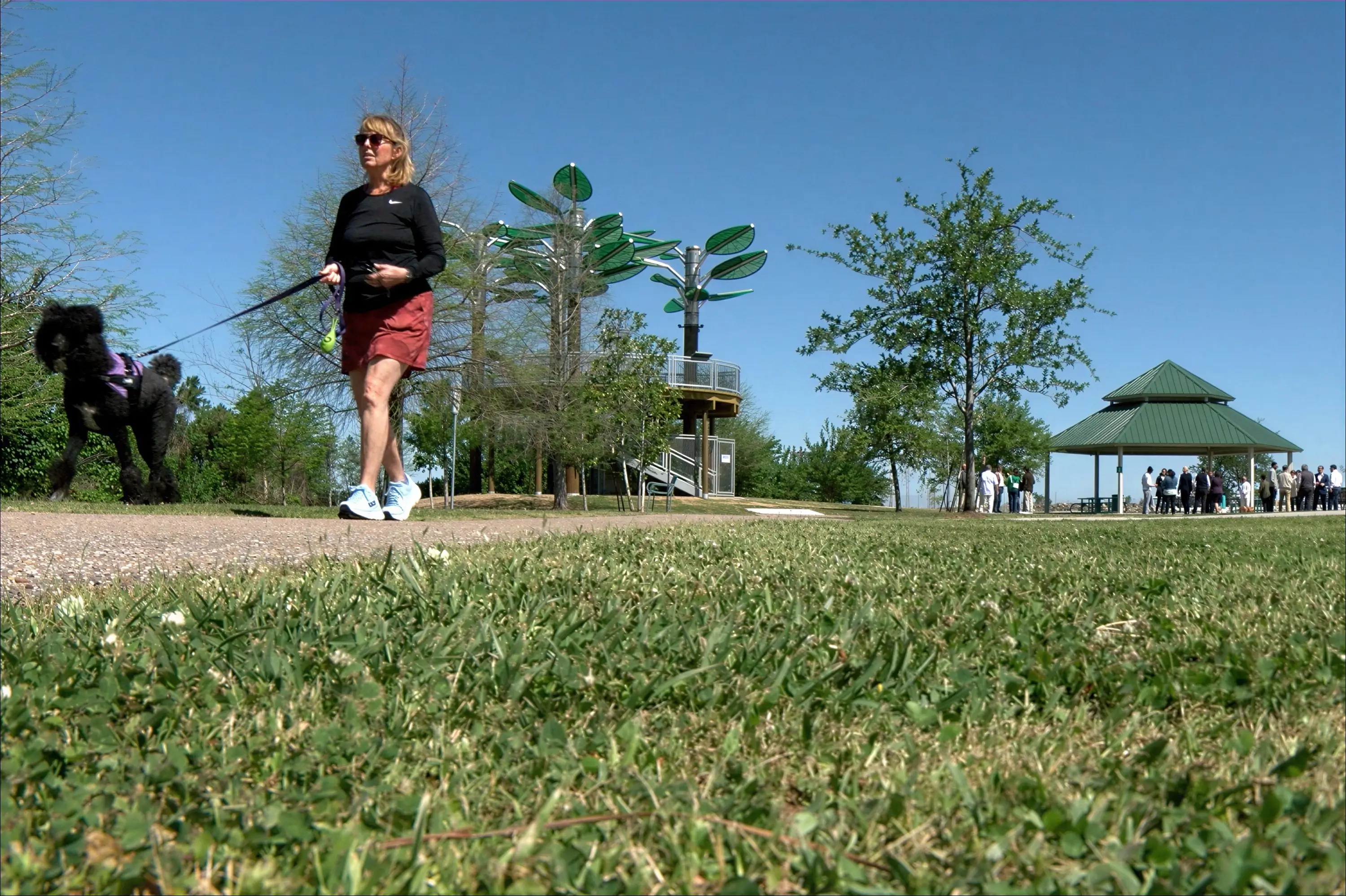 A woman walking her dog on the Bucktown Harbor nature walk